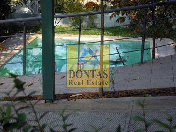 תמונת דיוניסוס למכירה (0)