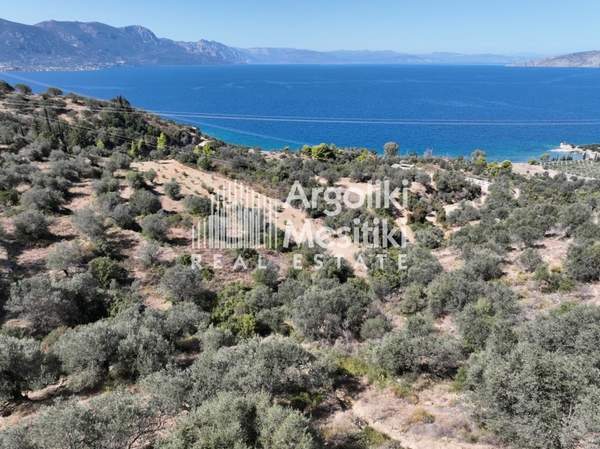 תמונת טריזיניה-מתאנה, פלופונס למכירה