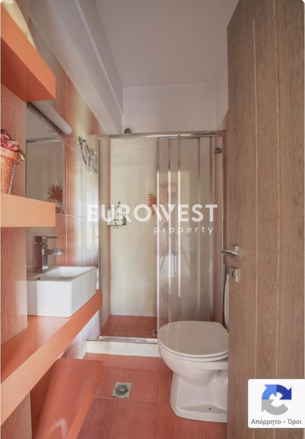 תמונת פטרס למכירה (0)