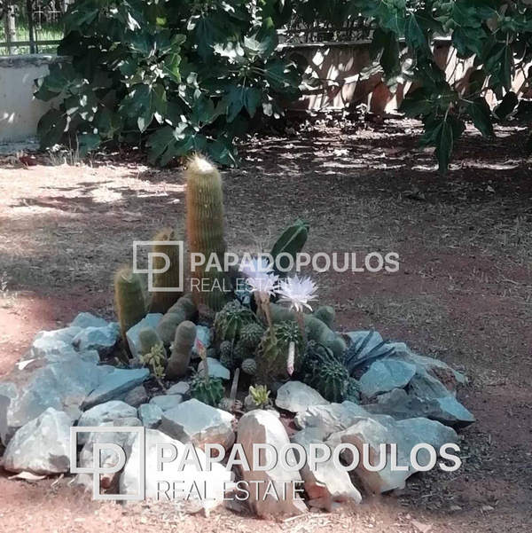 תמונת נאה מאקרי, מרתון, אתונה למכירה (0)