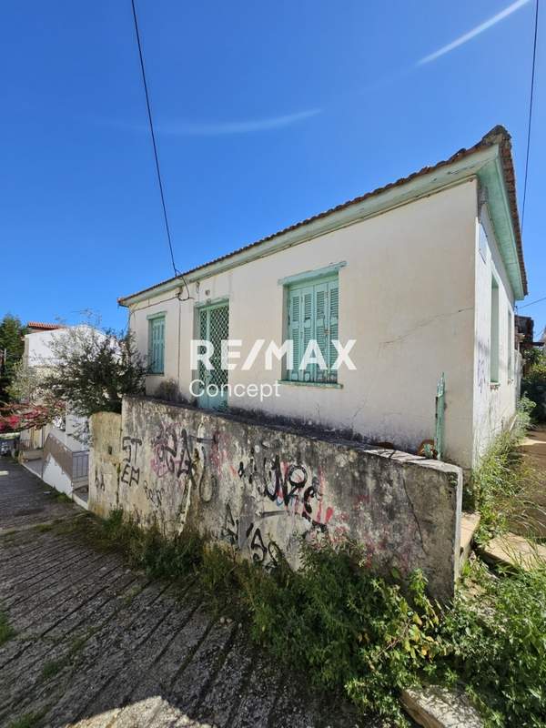 תמונת זקינתוס למכירה (0)