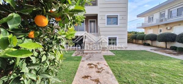 תמונת קוקוני, וולה - ווחה, פלופונס למכירה (1)