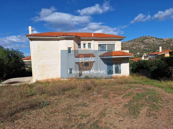 תמונת פאליה פוקיאה, סרוניקוס, אתונה למכירה (0)