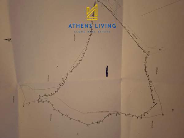 תמונת רשות מקומית זקינתוס למכירה (1)