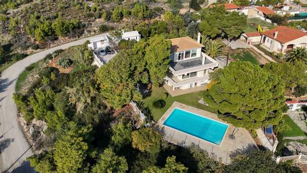 תמונת קורינתיה למכירה (1)