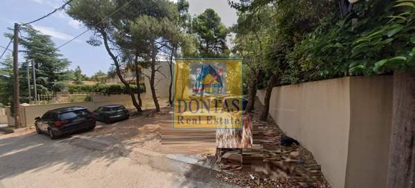 תמונת קיפיסיה למכירה (1)