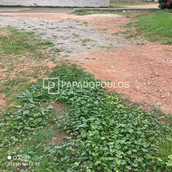 תמונת נאה מאקרי, מרתון, אתונה למכירה (0)