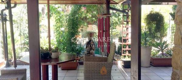 תמונת סטרולובוס למכירה