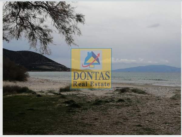 תמונת נקסוס למכירה (1)