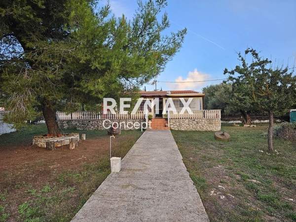 תמונת רשות מקומית זקינתוס למכירה