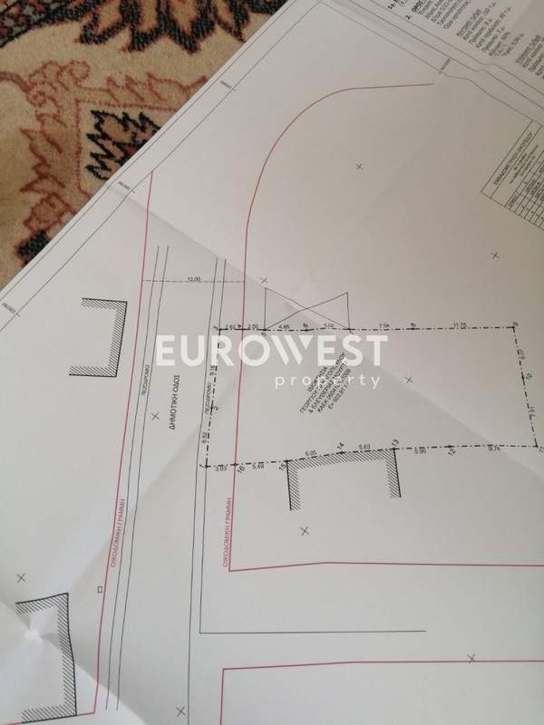 תמונת איגאליאה למכירה (1)