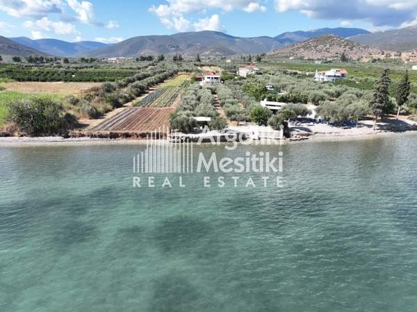 תמונת ארגוס ומיקנה, פלופונס למכירה