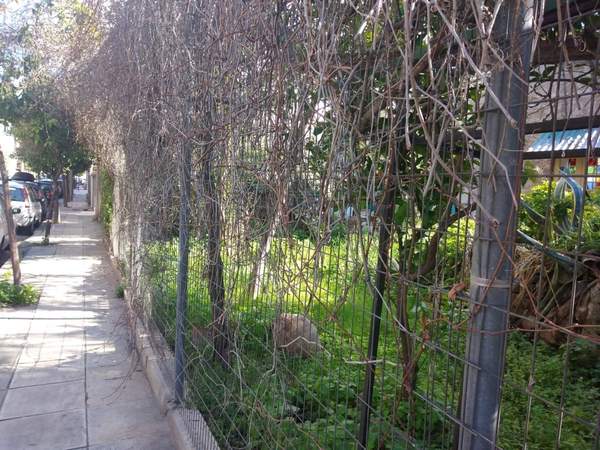 תמונת ווטאניקוס, רשות מקומית אתונה למכירה (0)