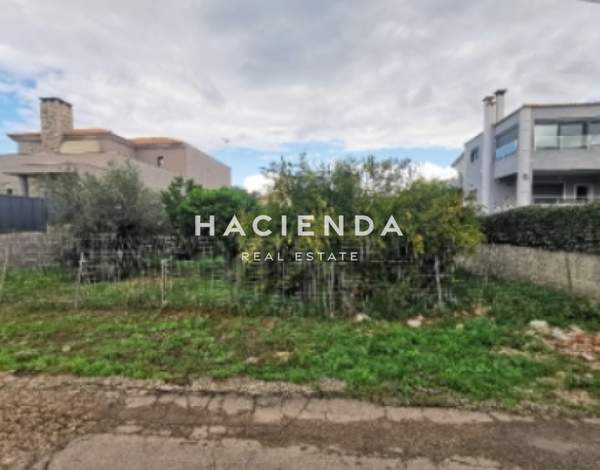 תמונת אורופוס, אתונה למכירה