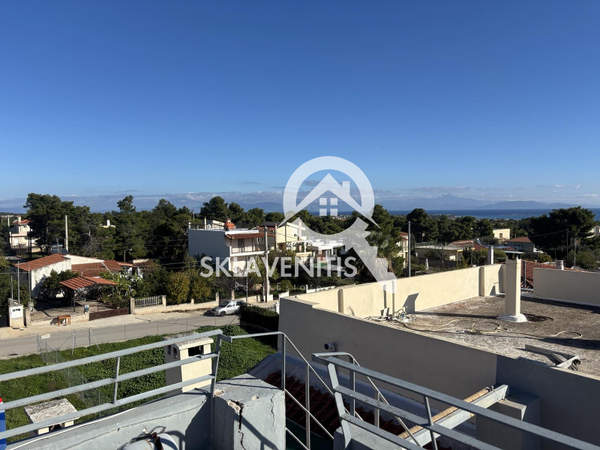 תמונת ספטה ארטמידה, אתונה למכירה (0)