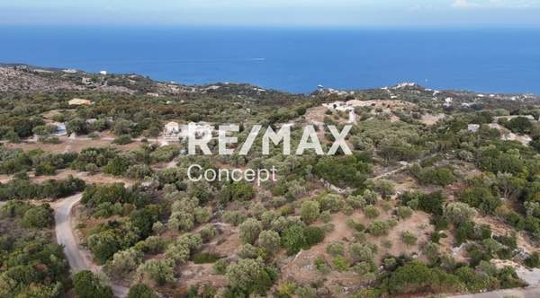 תמונת זקינתוס למכירה (1)