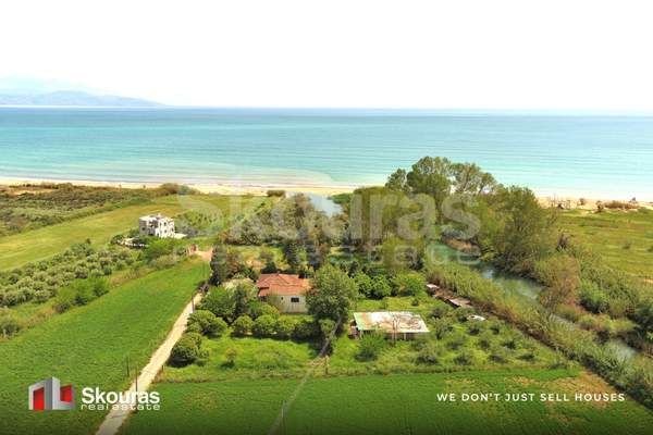 תמונת מסיני למכירה (1)