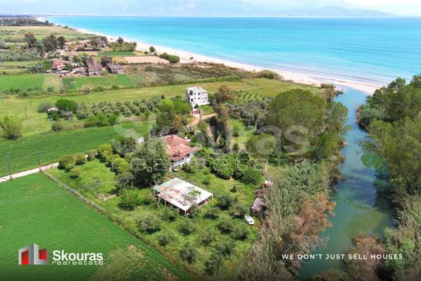 תמונת מסיני למכירה (0)