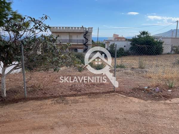 תמונת ספטה ארטמידה למכירה (0)