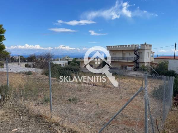 תמונת ספטה ארטמידה למכירה (1)