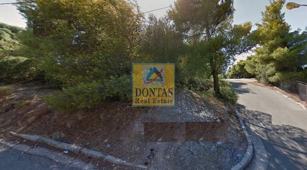 תמונת נאה פאנטלי למכירה (1)