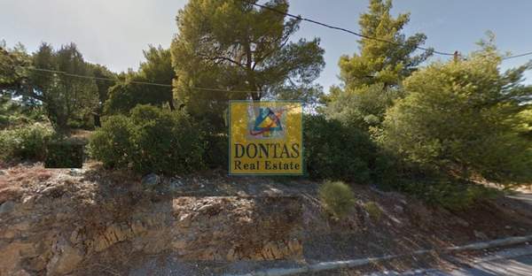 תמונת נאה פאנטלי למכירה (0)