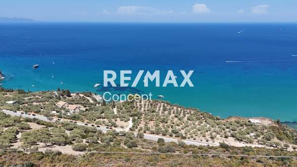 תמונת זקינתוס למכירה (0)