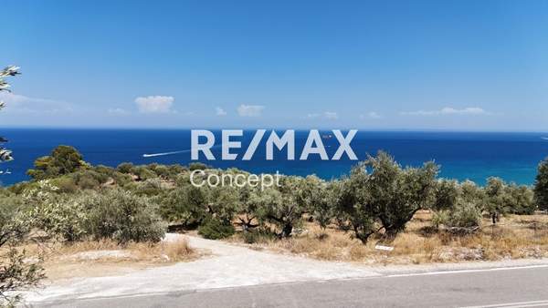 תמונת זקינתוס למכירה (1)