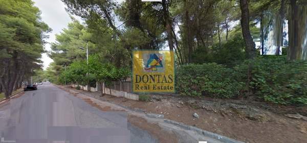 תמונת דיוניסוס למכירה (0)