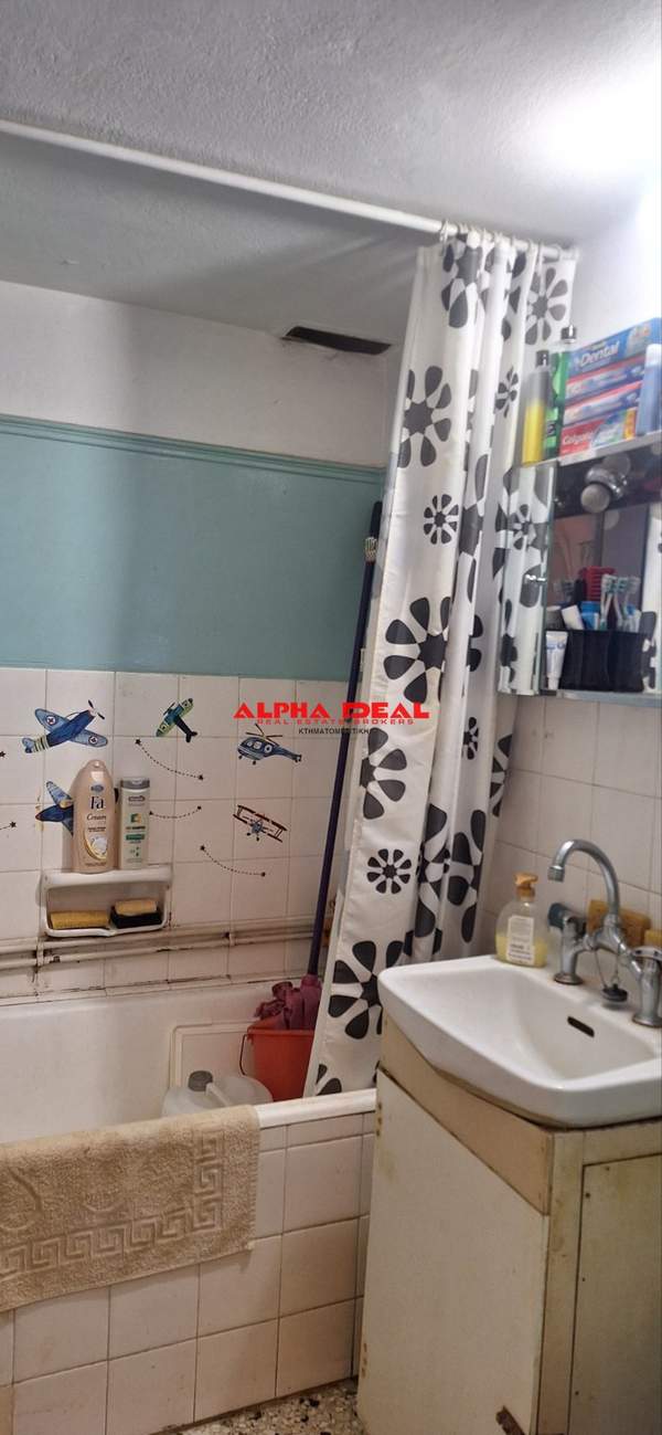 תמונת קליתיאה למכירה (1)