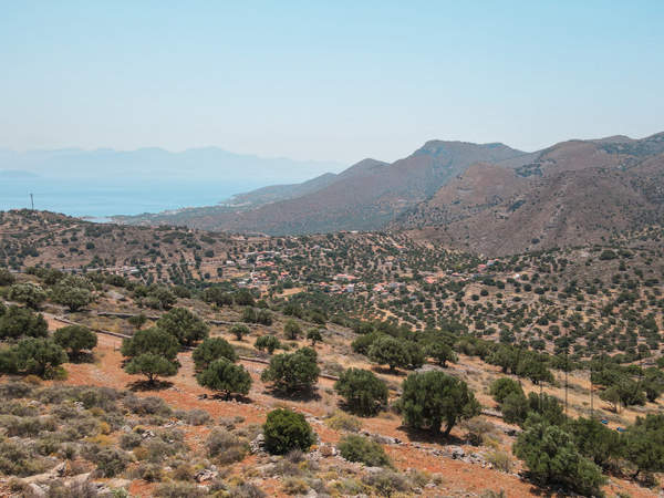תמונת אגיוס ניקולאוס  למכירה