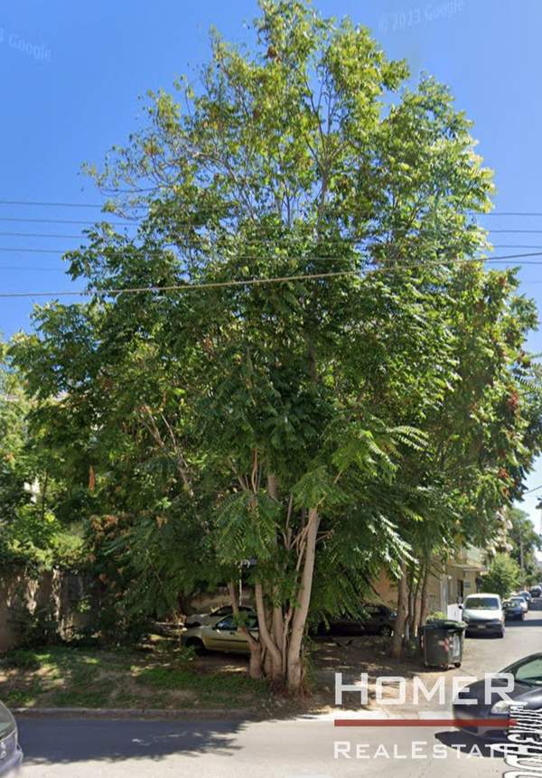 תמונת אקדמיה פלאטונוס, אתונה למכירה (0)