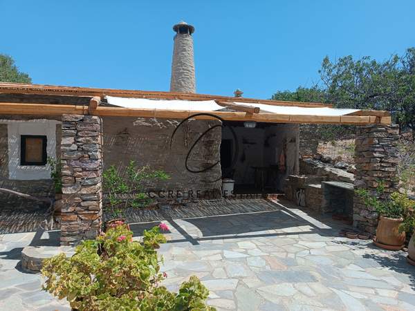 תמונת קיאה למכירה (0)