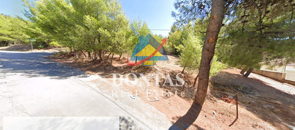 תמונת דיוניסוס למכירה (1)