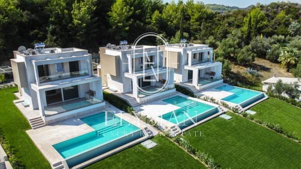 תמונת קסנדרה, כלקידיקי למכירה (1)