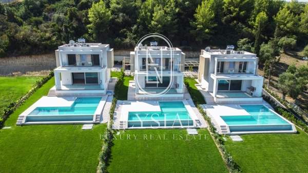 תמונת קסנדרה, כלקידיקי למכירה (0)