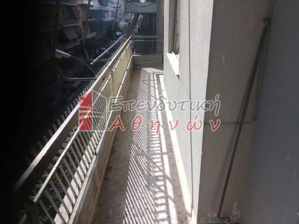 תמונת קליתיאה למכירה (0)