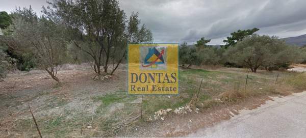 תמונת רשות מקומית חיוס למכירה (1)