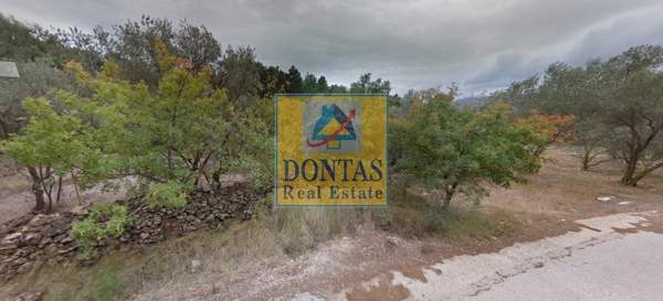 תמונת רשות מקומית חיוס למכירה (0)