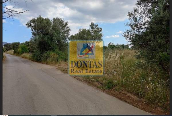 תמונת קיפיסיה, אתונה למכירה (0)