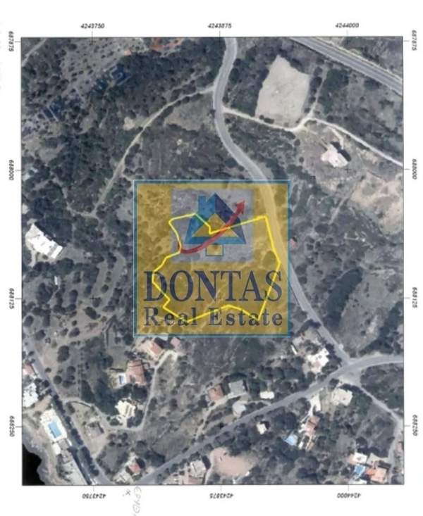 תמונת חיוס למכירה (0)