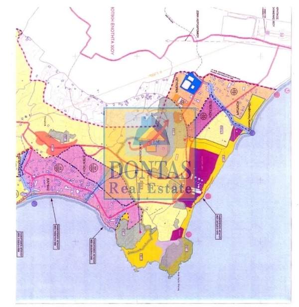 תמונת חיוס למכירה (1)