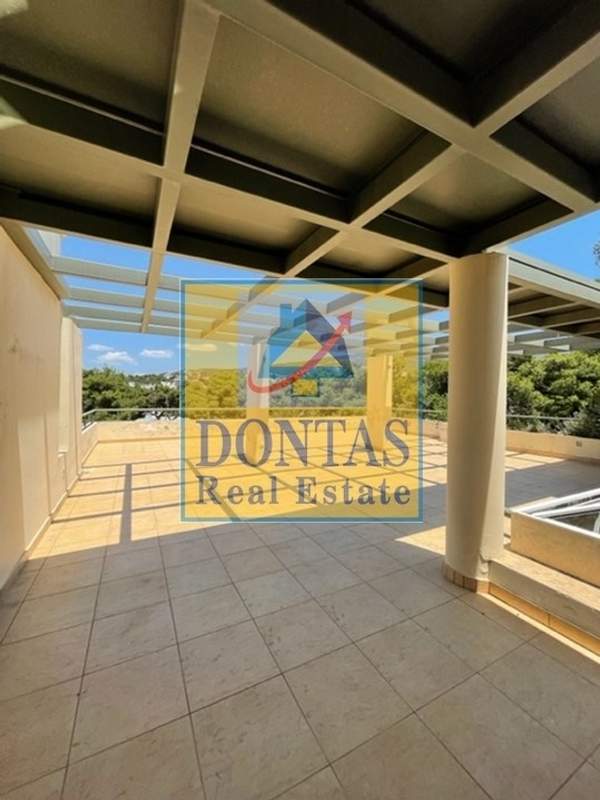 תמונת קיפיסיה למכירה (1)