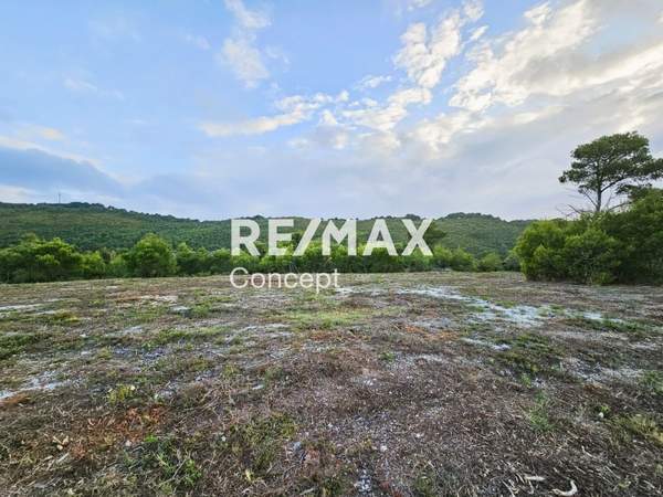 תמונת זקינתוס למכירה (0)