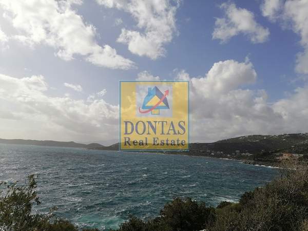 תמונת מרתון למכירה (0)