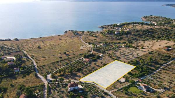 תמונת ארמיונידה, פלופונס למכירה