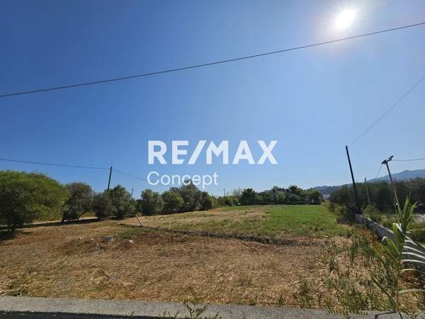 תמונת זקינתוס למכירה (0)