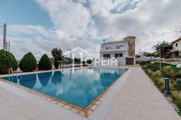 תמונת קורופי למכירה (0)