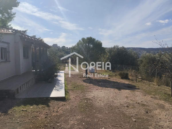 תמונת קורופי, אתונה למכירה