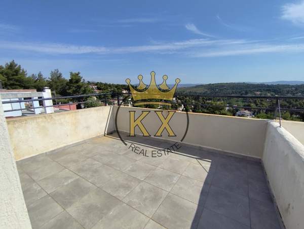 תמונת דיוניסוס למכירה (1)